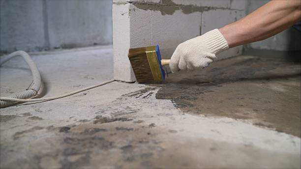 24/7 Emergency Crawl Space Encapsulation experts in Meridianville, AL